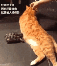 胃不好的人,儘量別吃這種藥!這4類藥才能保護你的胃 胃不好的人,儘量別吃這種藥!這4類藥才能保護你的胃