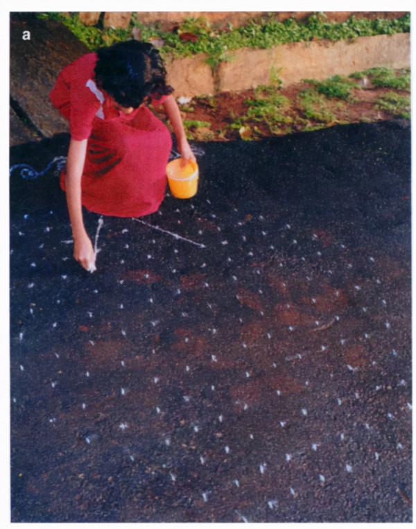 印度大嬸的地板畫藝術1：Kolam傳統藝術中的數學