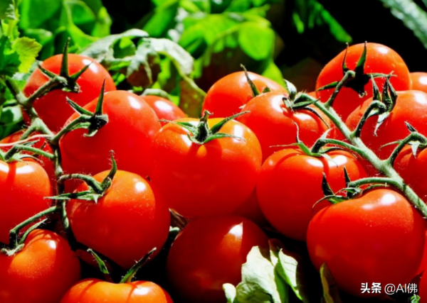 美國人平均一年吃多少食物 美國人平均一年吃多少食物