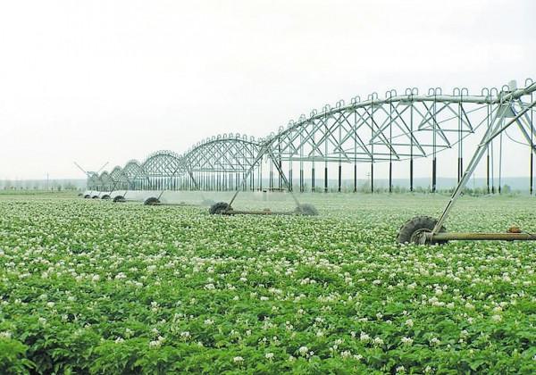 農業發展前景分析探討