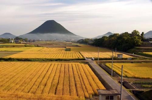 回看2008年世界金融危機:奧巴馬和美國的野望與困局 回看2008年世界金融危機:奧巴馬和美國的野望與困局