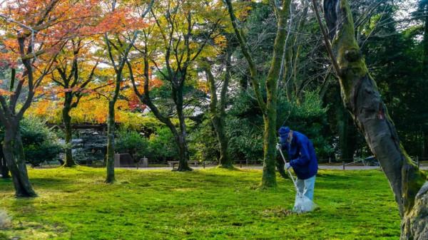逛逛日本 &vert; 一券在手 遊走日本升龍道夢之旅