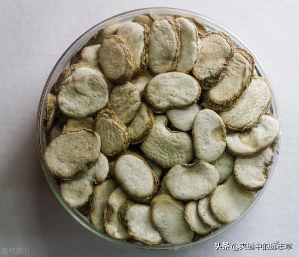 秋燥傷肺?一劑百合固金湯,潤肺養陰,讓你的肺固若金湯 秋燥傷肺?一劑百合固金湯,潤肺養陰,讓你的肺固若金湯