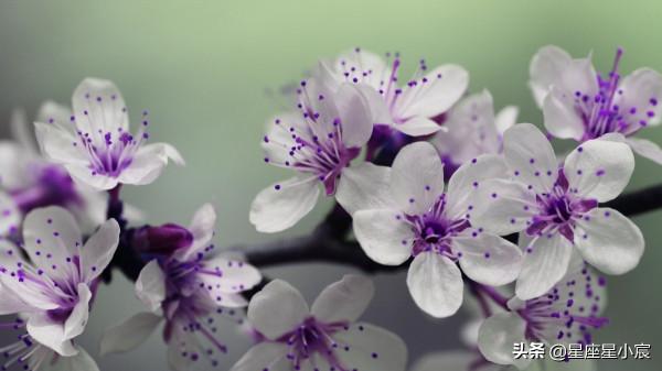 十二星座春節運勢：腳踏實地，勤奮認真，新的一年更順利