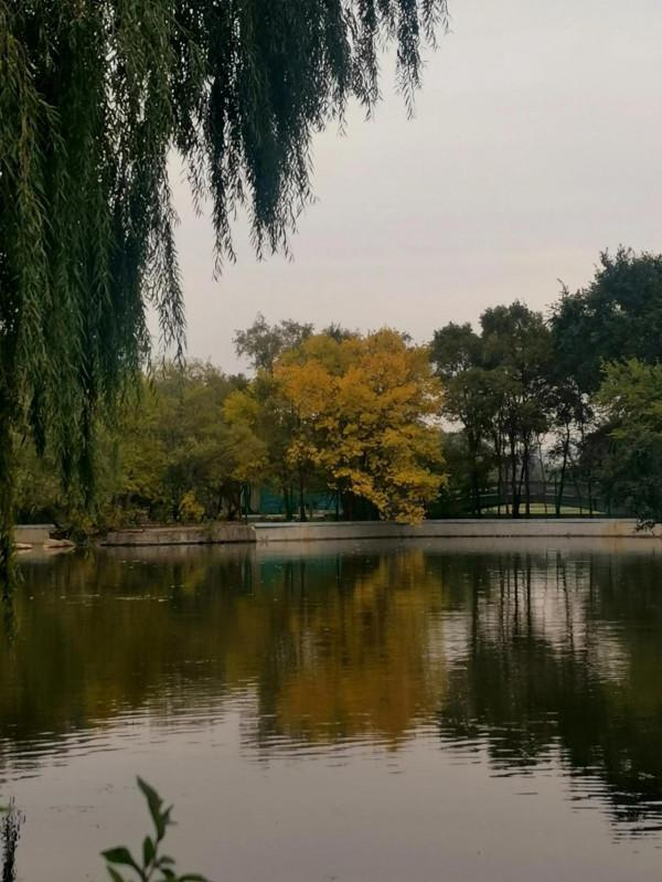 濃墨重彩的瀋陽市北陵公園最美水面倒影