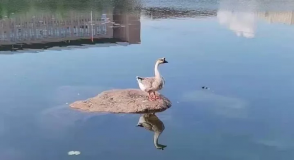 甲友心聲——抗癌11年,2次手術,我們的存在配得上所有的美好 甲友心聲——抗癌11年,2次手術,我們的存在配得上所有的美好