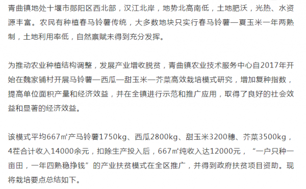 每畝淨賺12000元，一年四種四收的種植模式