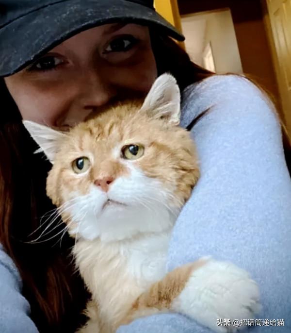 貓咪流浪多年後回家,卻發現想見的人已經離世 貓咪流浪多年後回家,卻發現想見的人已經離世