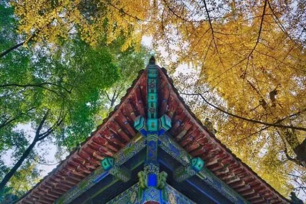 佛說:傷害過你的人,總有一天會遇到報應 佛說:傷害過你的人,總有一天會遇到報應