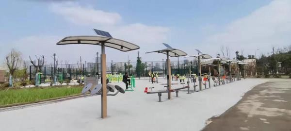 體育公園都在用的健身器材