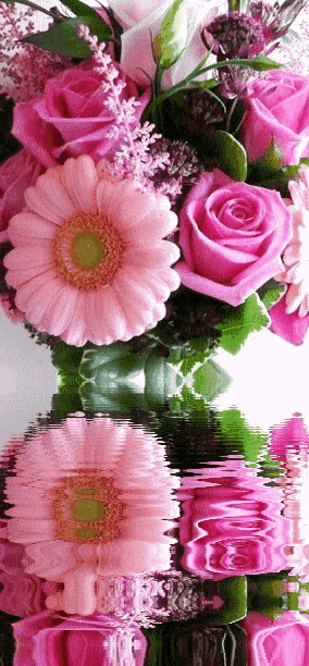 你的眼睛是一首美麗的詩