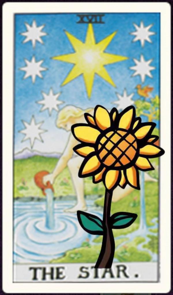 塔羅牌日運分享003