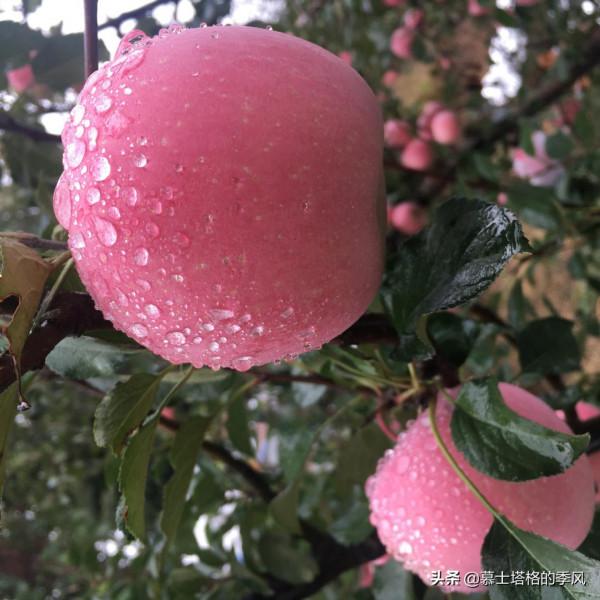 國內養老，最不能錯過的是這6座城，你最看好哪一個？