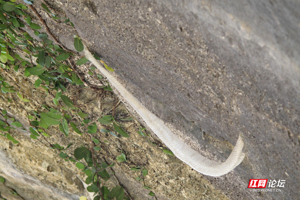 郴州境內竟藏著一座湖南最早的橋，背後的神秘傳說讓人好奇