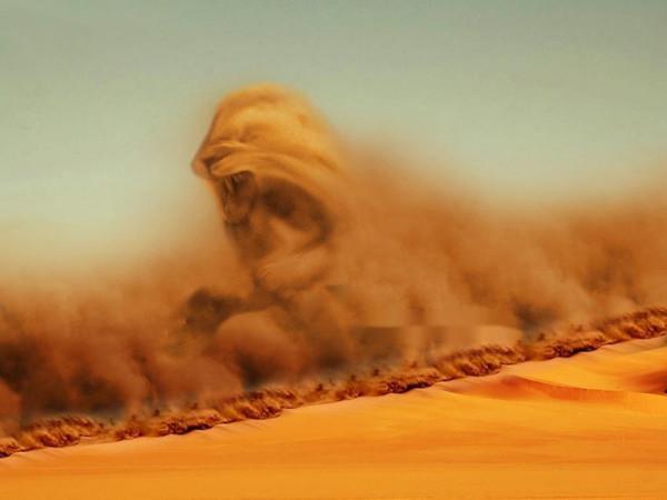 地理小知識,揭秘神奇的沙漠裡為什麼有人在哭泣?鳴沙是怎麼回事 地理小知識,揭秘神奇的沙漠裡為什麼有人在哭泣?鳴沙是怎麼回事