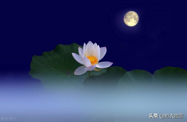 中秋明月故人詩詞六首：故人明月從來共，中秋明月故人心