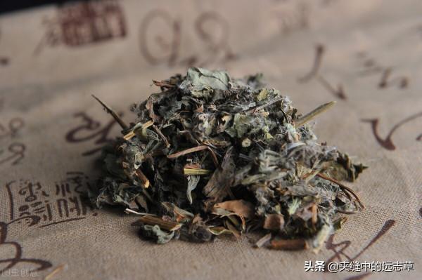 皮下出血，紫癜？送你四味中藥，清熱解毒，涼血散瘀，血寧瘀自消