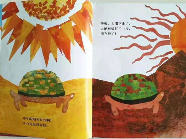 繪本導讀系列79《想看海的烏龜》