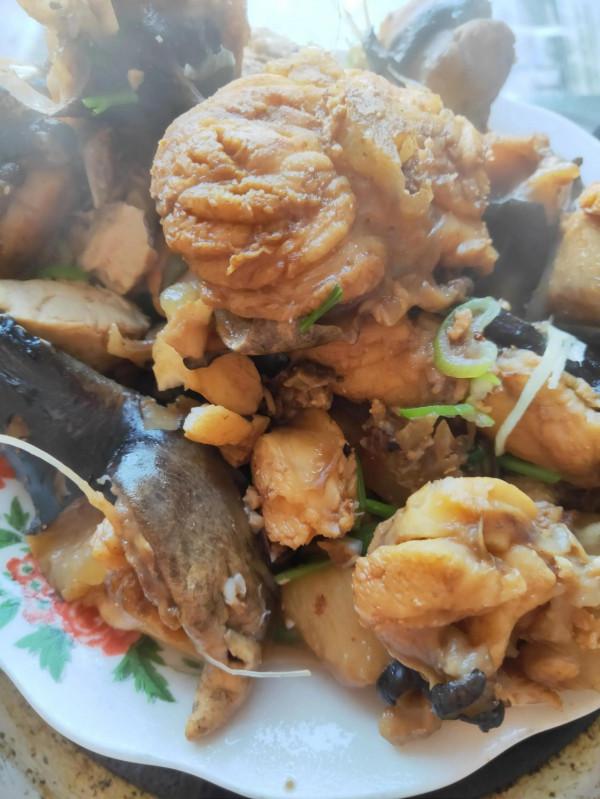 單一食物減肥法之第五天(魚肉) 單一食物減肥法之第五天(魚肉)