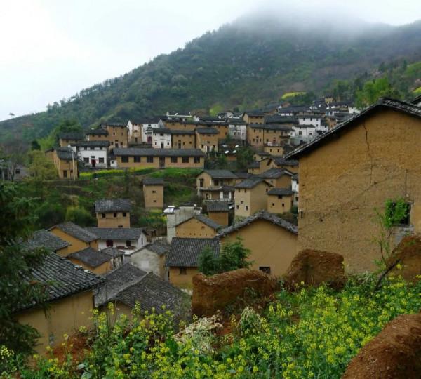 讀餘秀華的小詩《只有這樣才是誠懇的》