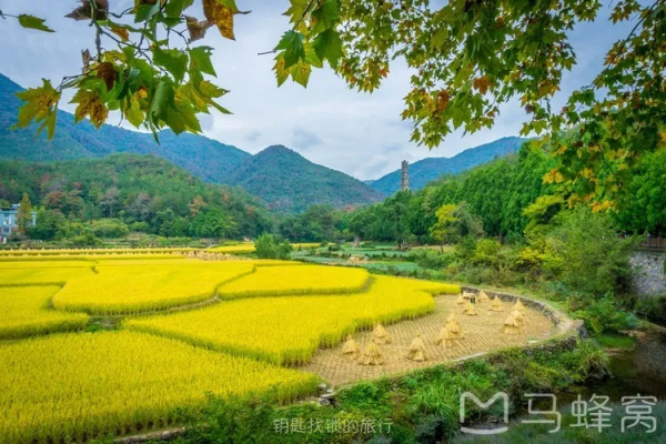 《長津湖》票房破53億,能超越《戰狼2》嗎?取景地美如仙境 《長津湖》票房破53億,能超越《戰狼2》嗎?取景地美如仙境