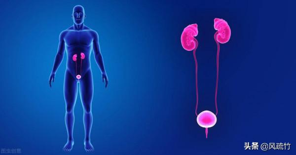 人體是怎樣衰老的？（上）