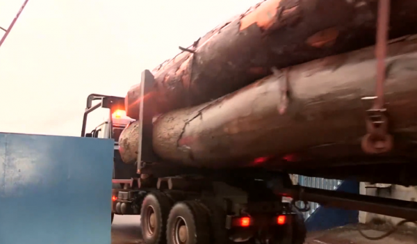 非洲小哥開賓士卡車運紅木,一車50噸一根賣幾十萬,路上全是車禍 非洲小哥開賓士卡車運紅木,一車50噸一根賣幾十萬,路上全是車禍