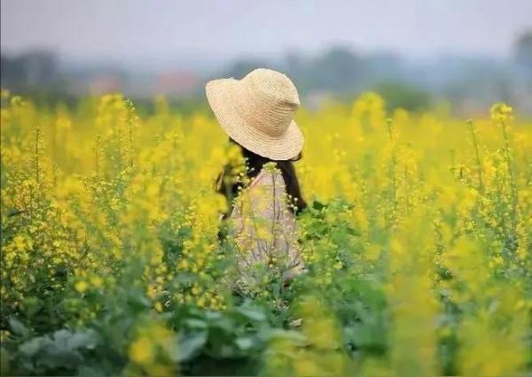 一歲增愁一歲新，喜迎春風拂春水