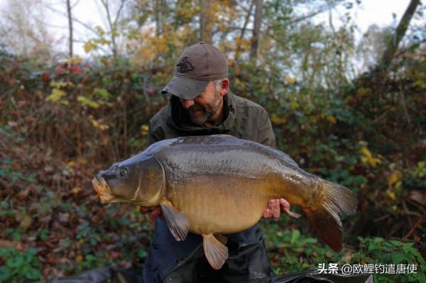 釣魚的窩子,是選淤泥底好,還是礫石底好? 釣魚的窩子,是選淤泥底好,還是礫石底好?