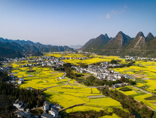 峰林之下，漫步踏浪，春意盎然，花海在山中