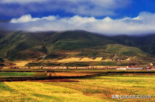 海子很火的謎詩，寫詩那夜他經歷了什麼少有人知，卻捧紅一座城市