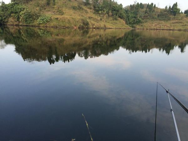 野釣時窩子裡有魚泡，久守卻無魚口，多半是這幾個原因