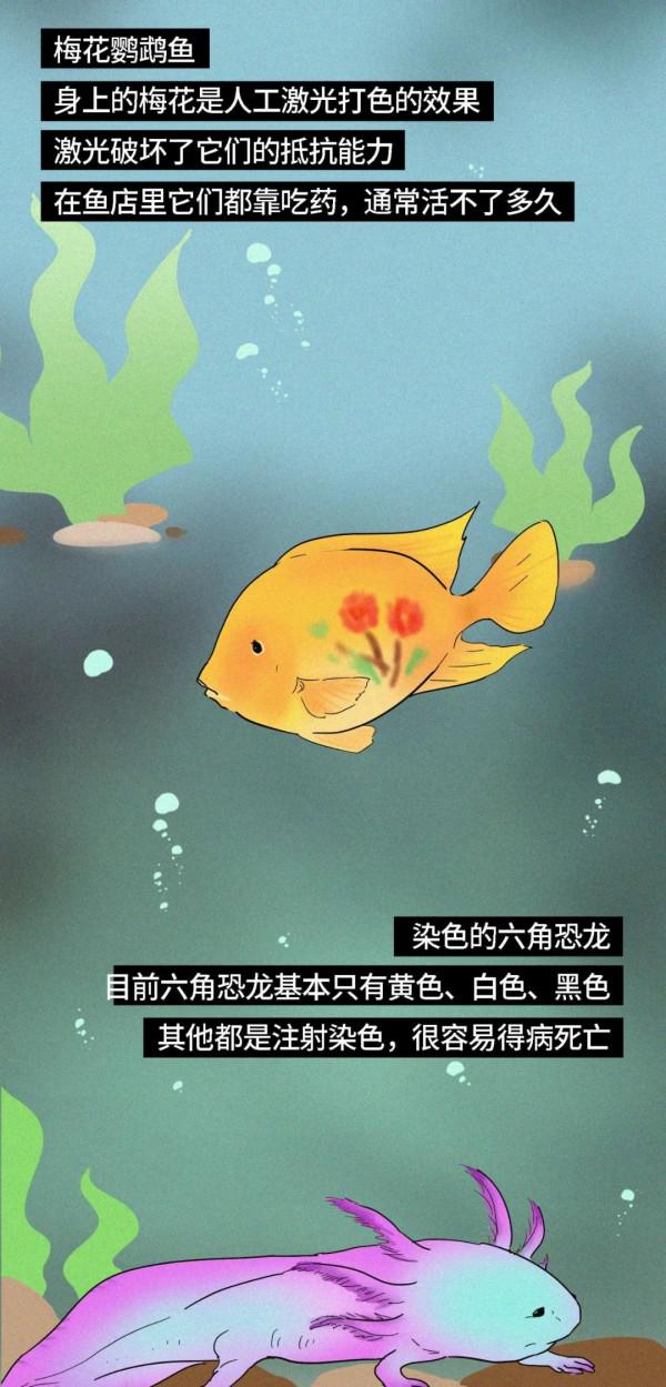 人類自以為的美麗，正在殺死我