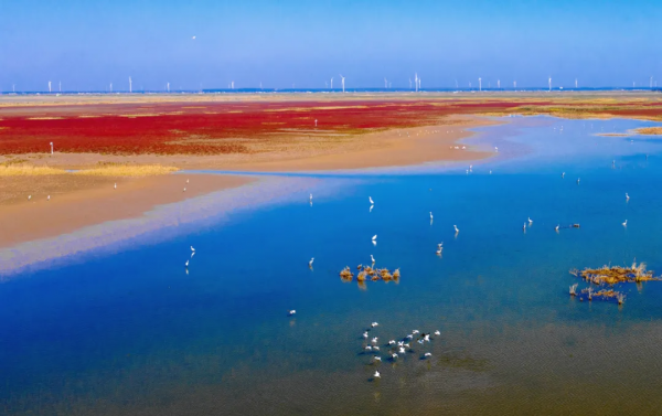 深秋，這裡是條子泥
