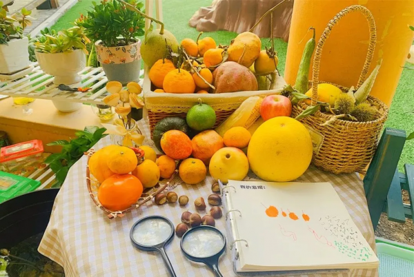 中國幼教公益論壇丨幼兒園秋季主題環創 中國幼教公益論壇丨幼兒園秋季主題環創