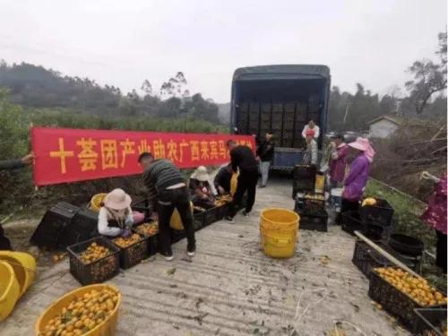 社群團購平臺十薈團為鄉村振興提供動力，推動共同富裕