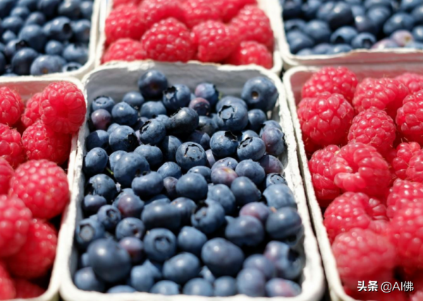 美國人平均一年吃多少食物 美國人平均一年吃多少食物