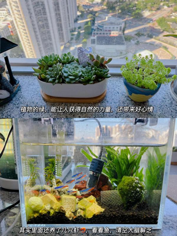 寫給想變得更優秀的你:從這五大方面入手,能讓你越活越充實 寫給想變得更優秀的你:從這五大方面入手,能讓你越活越充實