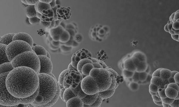 致癌基因會遺傳嗎？癌症家屬的患癌風險有多大？