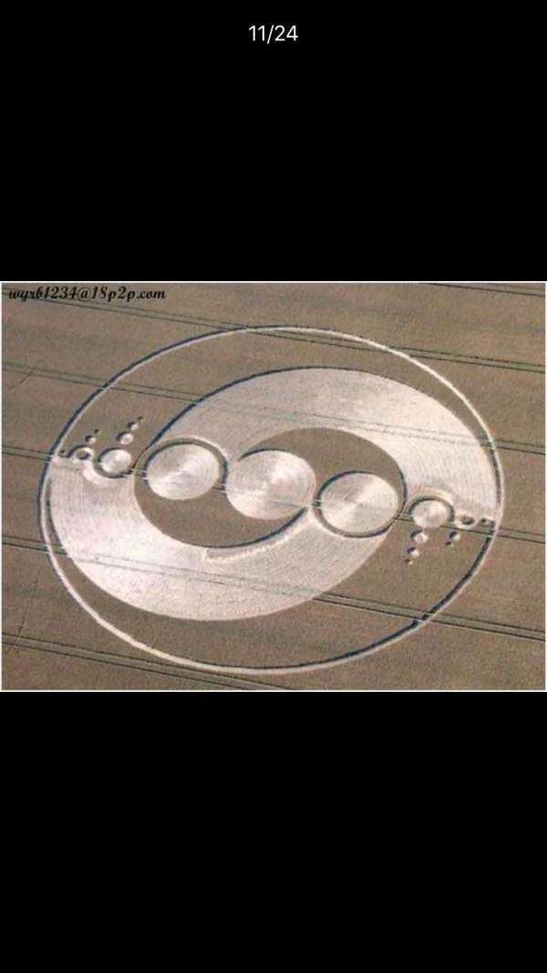 中國還沒有麥田怪圈