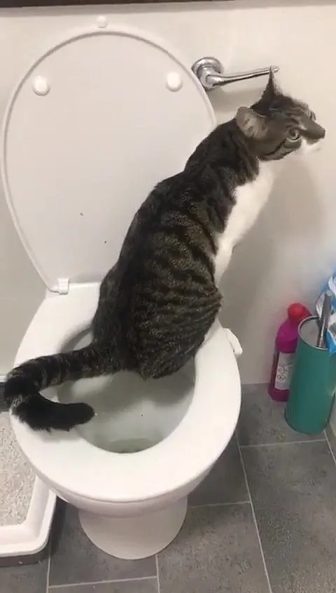 奪命保溫杯又上熱搜,這些危險習慣一定要改掉啊! 奪命保溫杯又上熱搜,這些危險習慣一定要改掉啊!