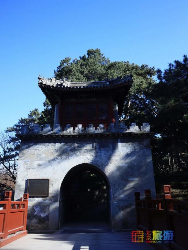 頻上熱搜！地鐵直達的冬日絕美景色！一定要來打卡！