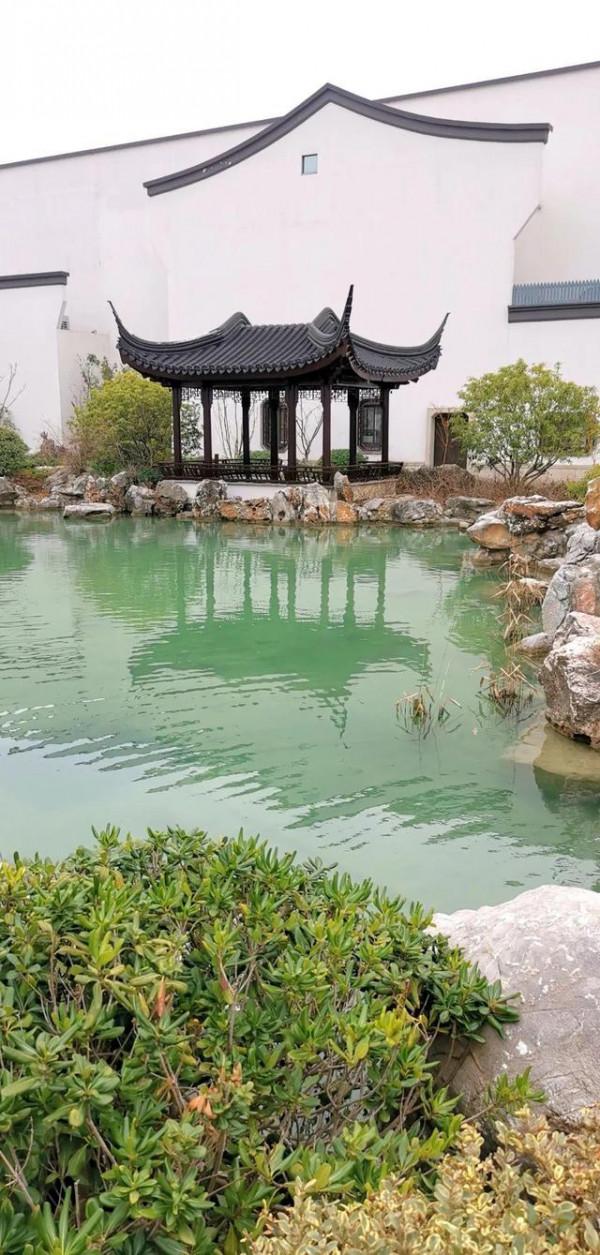 江蘇服務區，到底有多壕？果然，貧窮限制了我的想象力