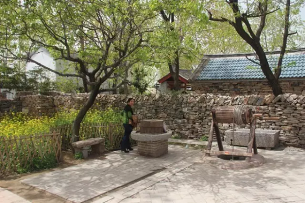 這才是鄉村小院該有的氣質