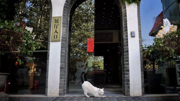 休漁期的漁業部長在幹嘛? 休漁期的漁業部長在幹嘛?