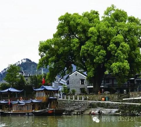 胡彥散文:夜郎靈韻 胡彥散文:夜郎靈韻