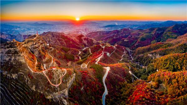 柿巖紅葉節本週四正式啟幕！重陽祈福＋紅葉潮玩，樂遊紅葉王國