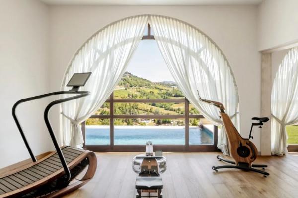 認識水阻划船機梣木(白蠟木)款,來自神話中的“木中女神” 認識水阻划船機梣木(白蠟木)款,來自神話中的“木中女神”