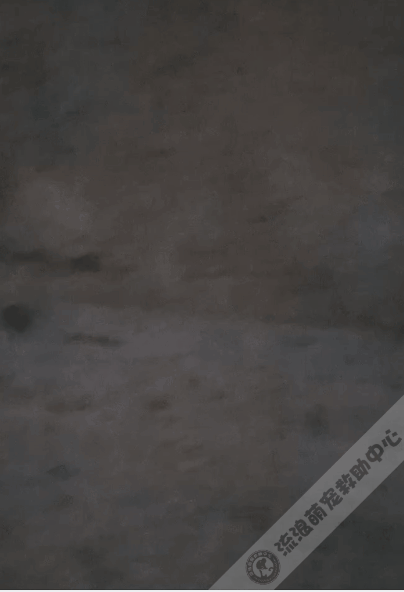 被拋棄的小泰迪又慘遭虐待,打斷頸椎後扔進橋洞等死 被拋棄的小泰迪又慘遭虐待,打斷頸椎後扔進橋洞等死