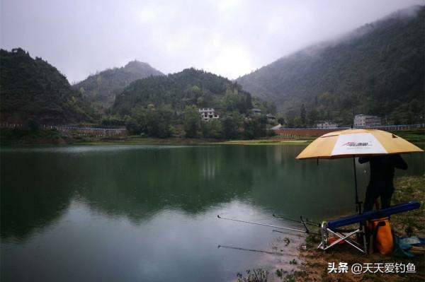 晚秋氣溫逐漸降低，出門釣魚更加註重時機，這種天氣才是爆護良機